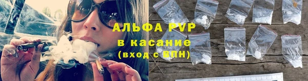 дурь Инта