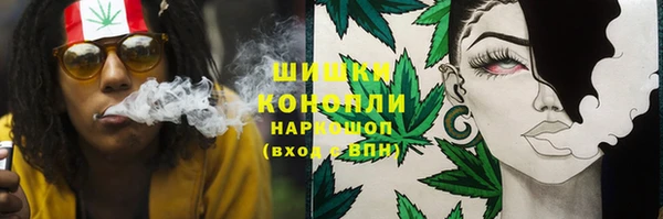 мет Инсар