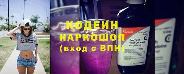 дурь Инта