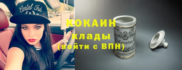 дурь Инта