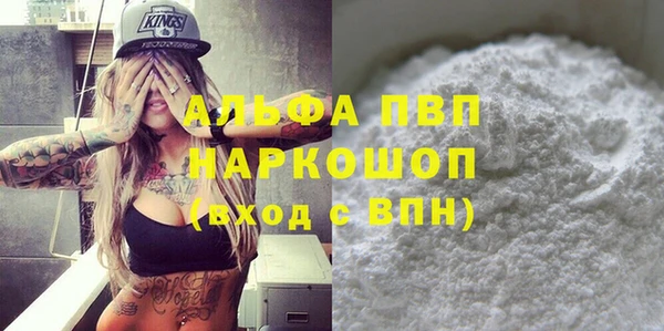 дурь Инта