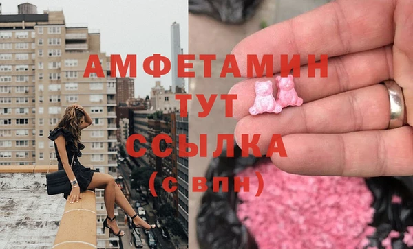 дурь Инта