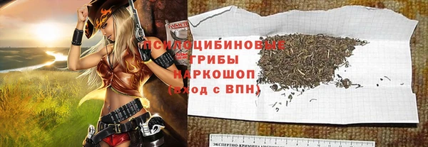 дурь Инта