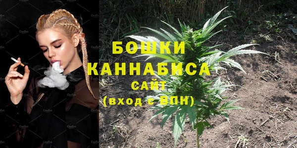 ALPHA-PVP Каменка