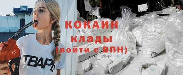 дурь Инта